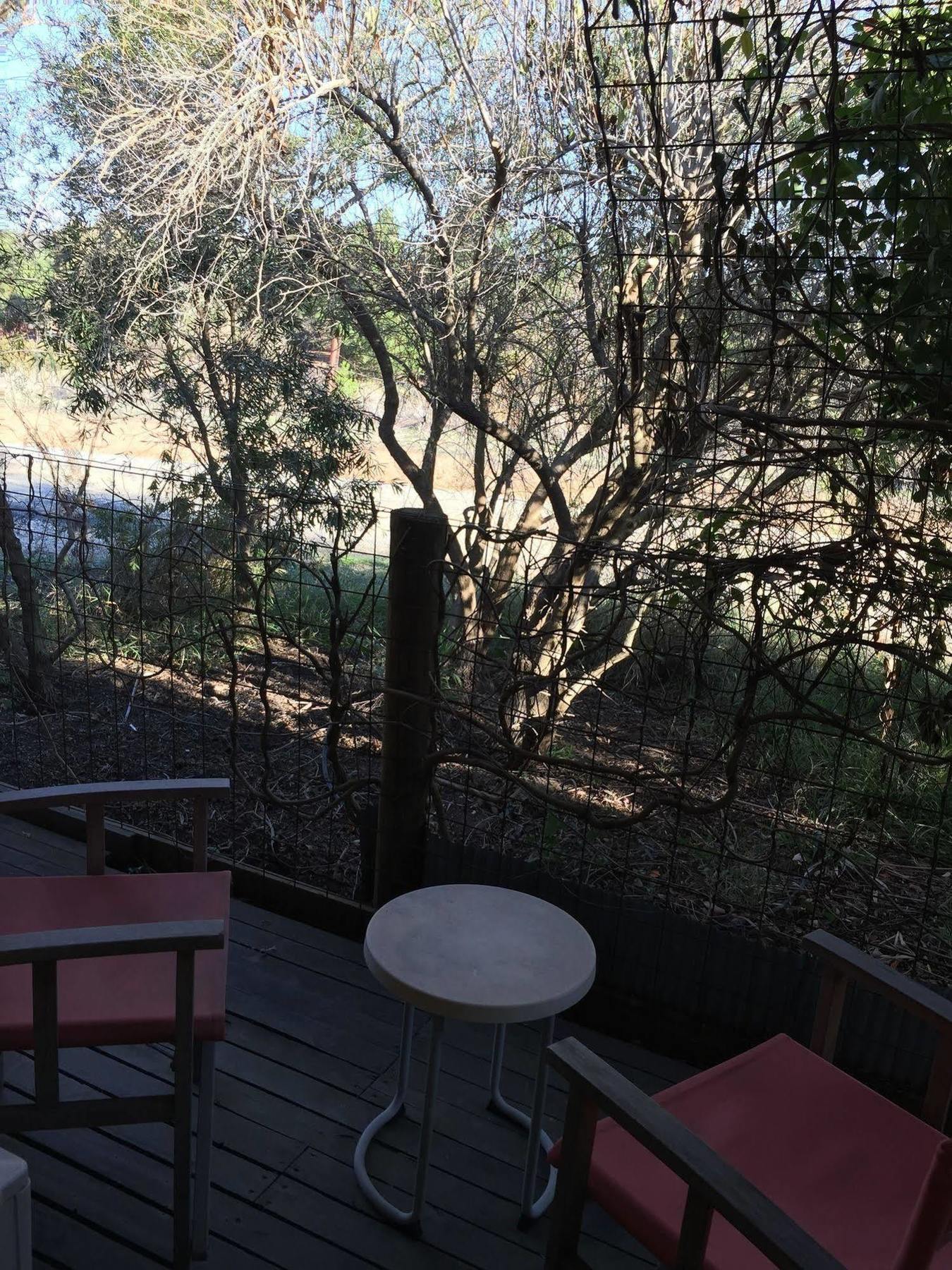 The Albion Motel Castlemaine Exterior foto